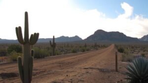 arizona stays on mst