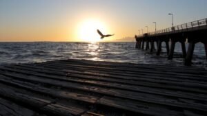 pacific time right now