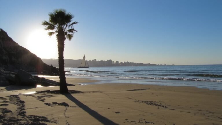 current pacific time right now