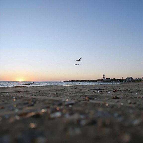 east coast late winter daylight